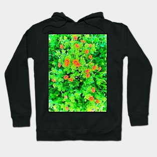 Wilde flower Hoodie